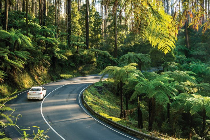 victoria-best-scenic-drives